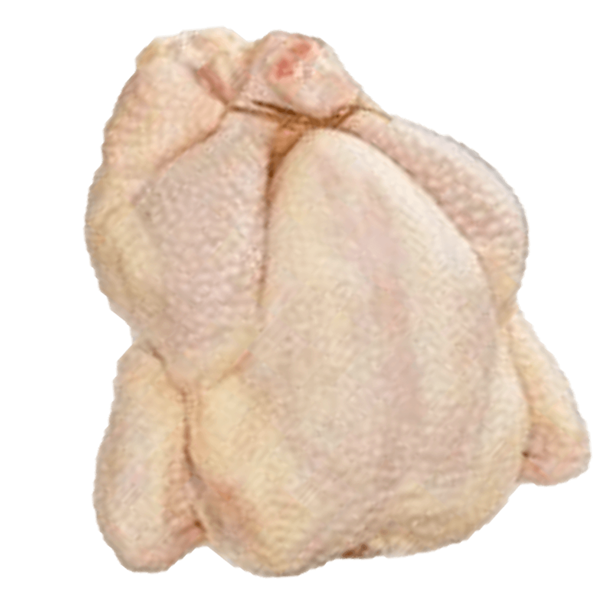 Chapon de poulet