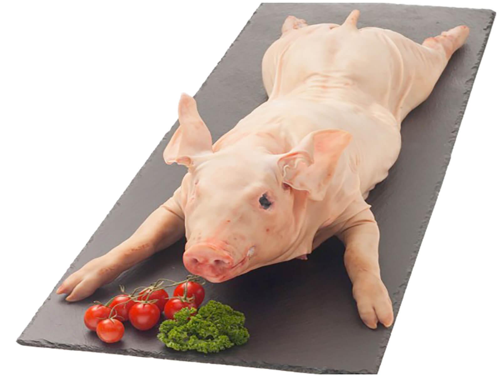 Cochon de Lait, Vente Directe de Viande