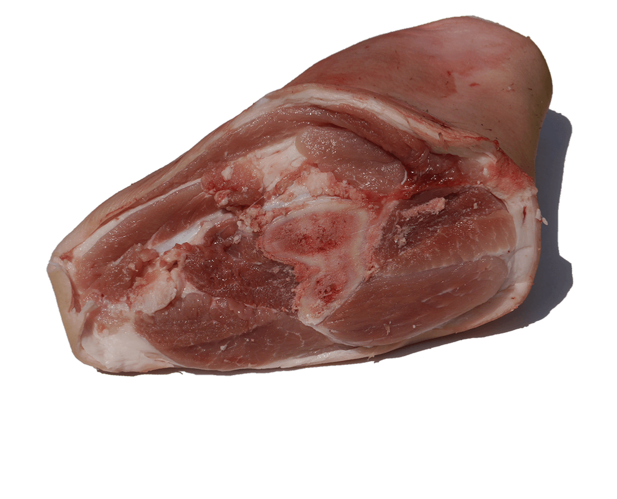 JARRET DE PORC