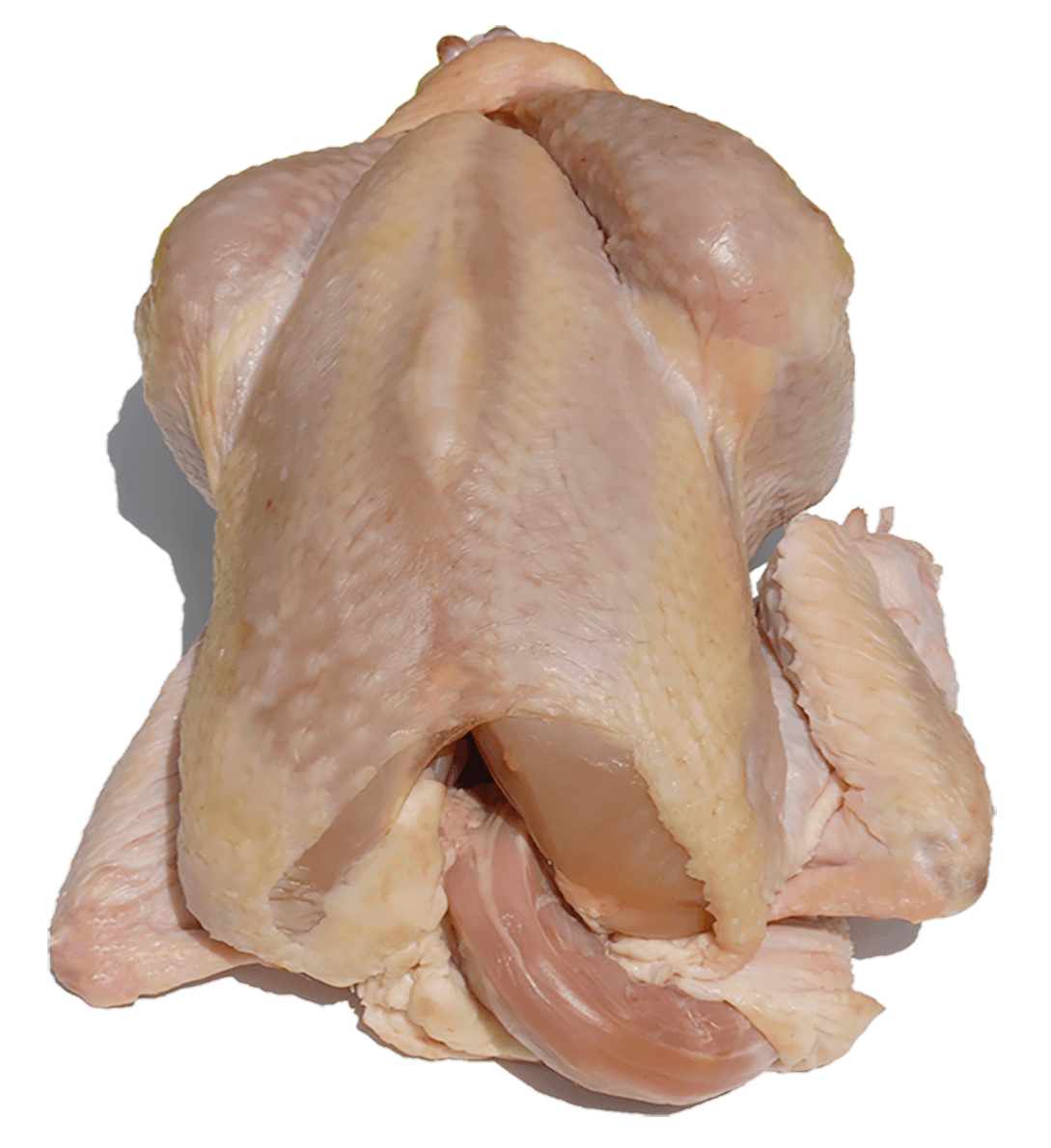 POULE FERMIÈRE