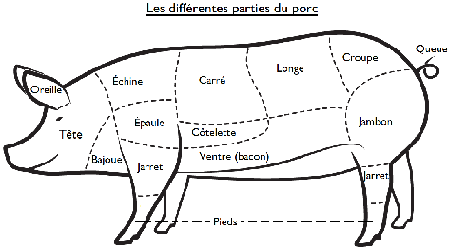 Tte détaillée