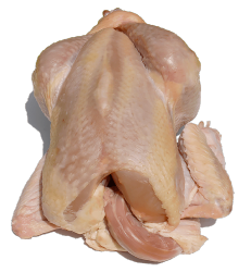 POULE FERMIÈRE