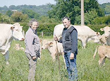 Vente de Viande de Boeuf Direct Producteur